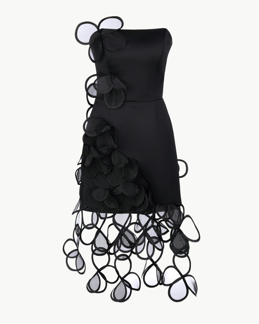 Floral Appliqués Mini Dress of Sheer
